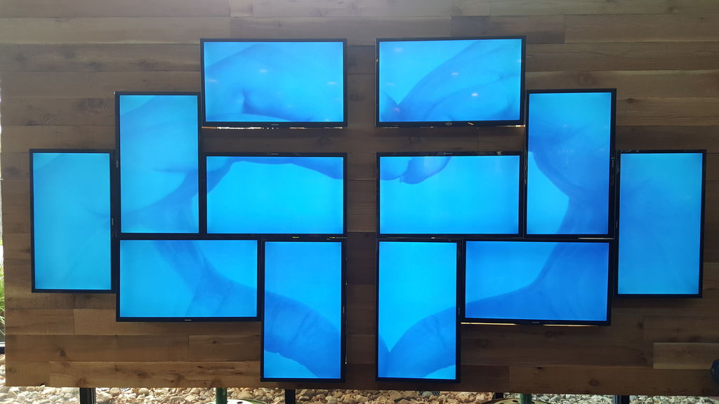 How to Make the Best Use of Video Wall Rental in Dubai? How to Make the Best Use of Video Wall Rental in Dubai?